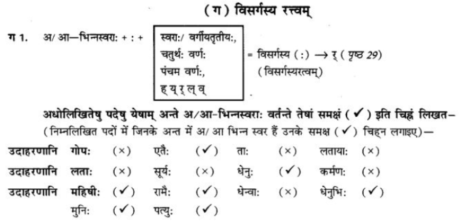 ncert-solutions-class-9-sanskrit-chapter-4-visargsandhi