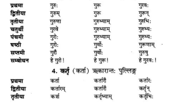 ncert-solutions-class-9-sanskrit-chapter-5-ajantshabda-halantshabda-sarvnamshabda