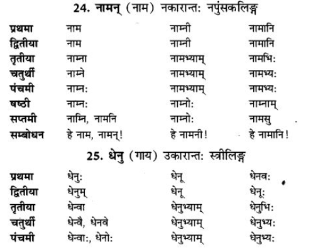 ncert-solutions-class-9-sanskrit-chapter-5-ajantshabda-halantshabda-sarvnamshabda