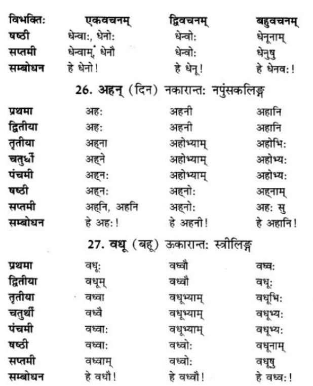 ncert-solutions-class-9-sanskrit-chapter-5-ajantshabda-halantshabda-sarvnamshabda