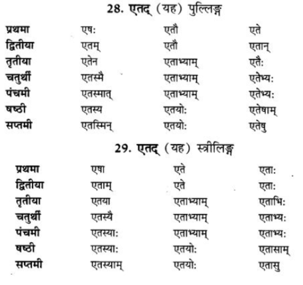 ncert-solutions-class-9-sanskrit-chapter-5-ajantshabda-halantshabda-sarvnamshabda