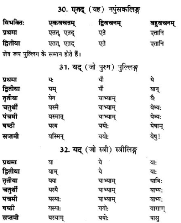 ncert-solutions-class-9-sanskrit-chapter-5-ajantshabda-halantshabda-sarvnamshabda