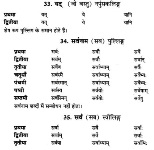 ncert-solutions-class-9-sanskrit-chapter-5-ajantshabda-halantshabda-sarvnamshabda