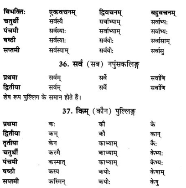 ncert-solutions-class-9-sanskrit-chapter-5-ajantshabda-halantshabda-sarvnamshabda