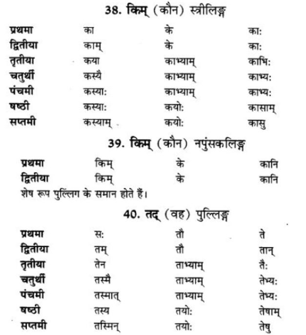 ncert-solutions-class-9-sanskrit-chapter-5-ajantshabda-halantshabda-sarvnamshabda