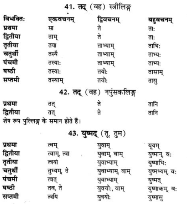 ncert-solutions-class-9-sanskrit-chapter-5-ajantshabda-halantshabda-sarvnamshabda