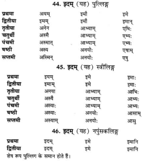 ncert-solutions-class-9-sanskrit-chapter-5-ajantshabda-halantshabda-sarvnamshabda