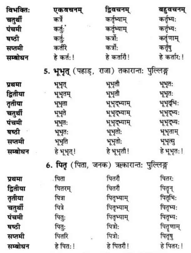 ncert-solutions-class-9-sanskrit-chapter-5-ajantshabda-halantshabda-sarvnamshabda