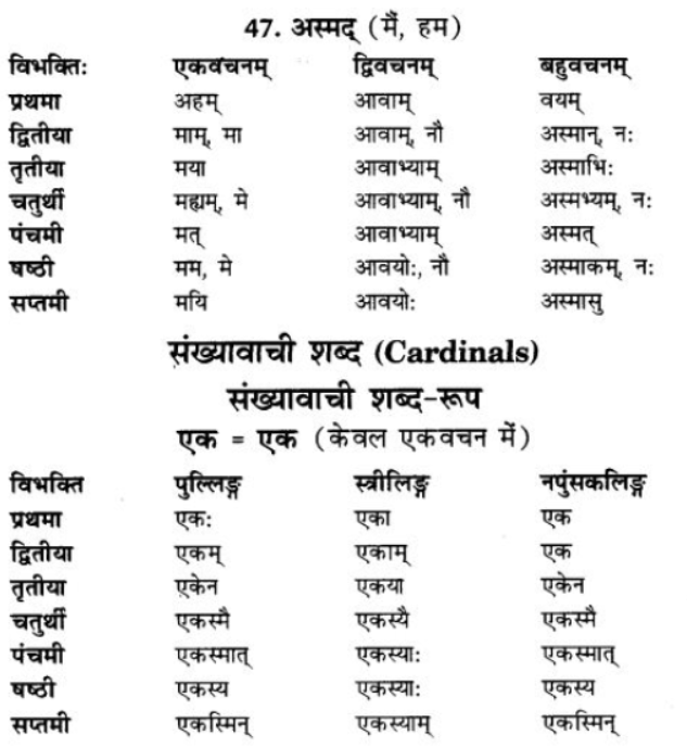 ncert-solutions-class-9-sanskrit-chapter-5-ajantshabda-halantshabda-sarvnamshabda