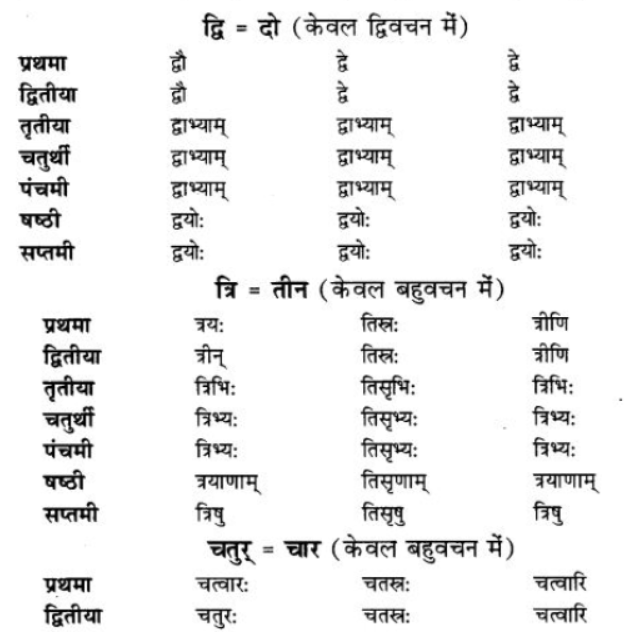 ncert-solutions-class-9-sanskrit-chapter-5-ajantshabda-halantshabda-sarvnamshabda