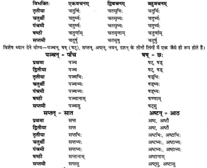 ncert-solutions-class-9-sanskrit-chapter-5-ajantshabda-halantshabda-sarvnamshabda