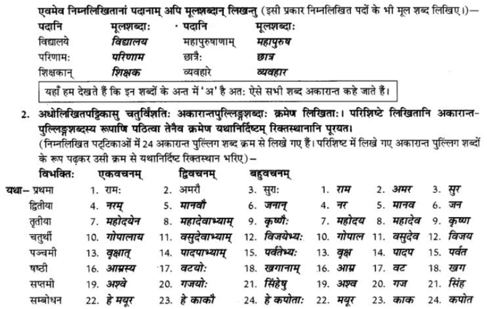 ncert-solutions-class-9-sanskrit-chapter-5-ajantshabda-halantshabda-sarvnamshabda