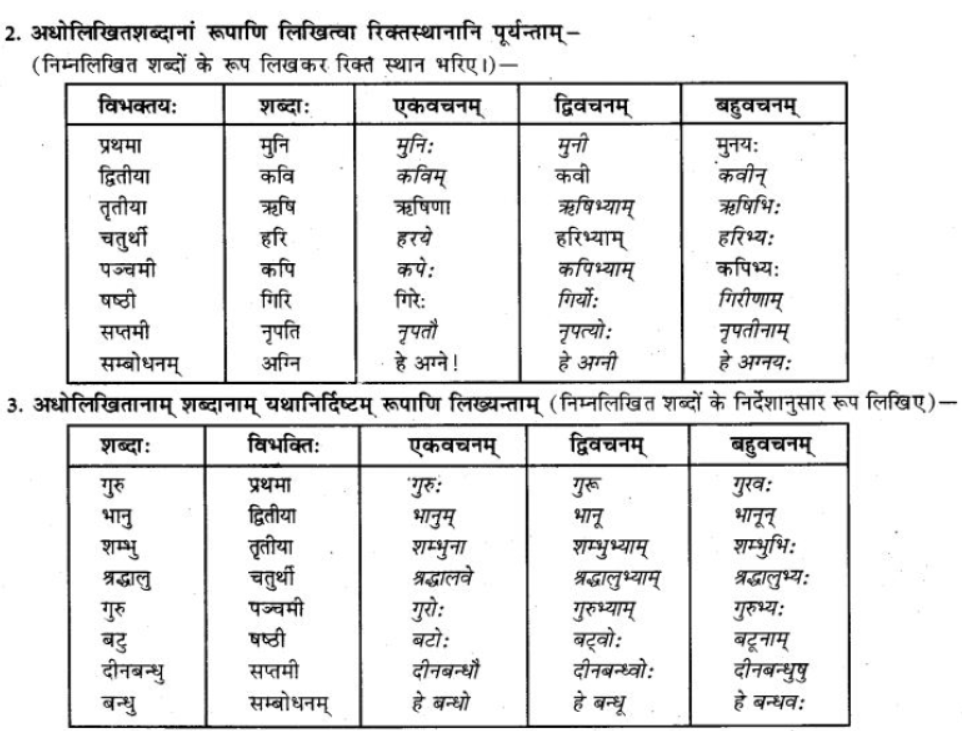 ncert-solutions-class-9-sanskrit-chapter-5-ajantshabda-halantshabda-sarvnamshabda