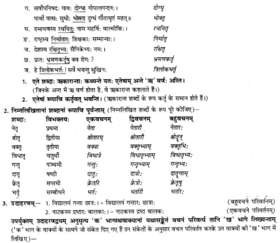 ncert-solutions-class-9-sanskrit-chapter-5-ajantshabda-halantshabda-sarvnamshabda