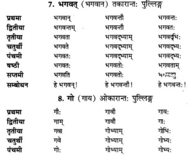 ncert-solutions-class-9-sanskrit-chapter-5-ajantshabda-halantshabda-sarvnamshabda