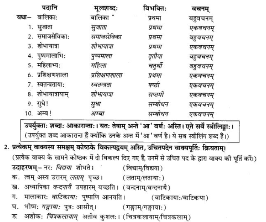 ncert-solutions-class-9-sanskrit-chapter-5-ajantshabda-halantshabda-sarvnamshabda