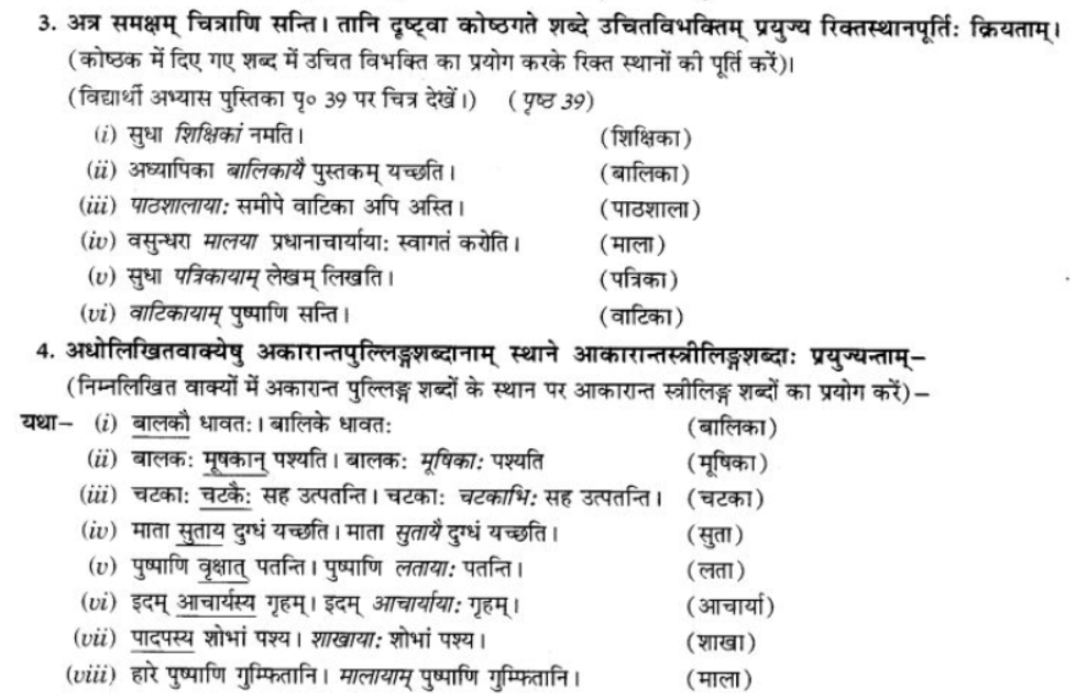 ncert-solutions-class-9-sanskrit-chapter-5-ajantshabda-halantshabda-sarvnamshabda