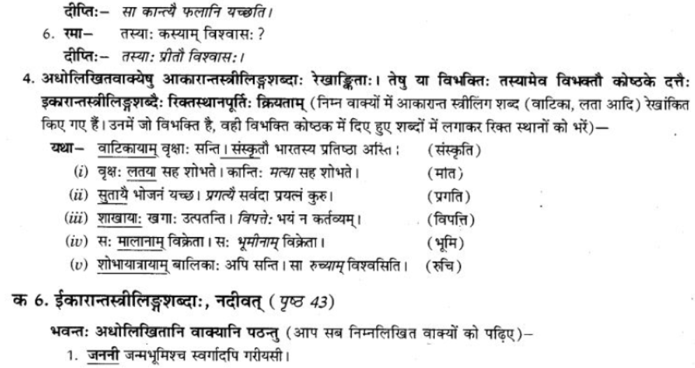 ncert-solutions-class-9-sanskrit-chapter-5-ajantshabda-halantshabda-sarvnamshabda