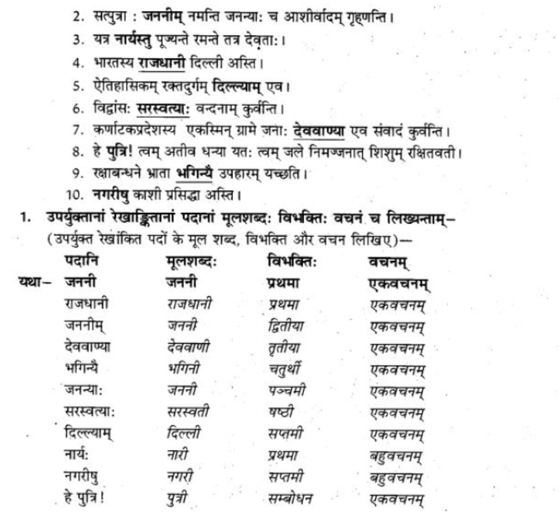 ncert-solutions-class-9-sanskrit-chapter-5-ajantshabda-halantshabda-sarvnamshabda