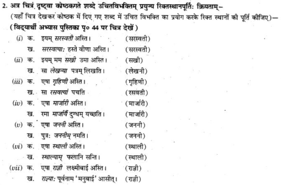 ncert-solutions-class-9-sanskrit-chapter-5-ajantshabda-halantshabda-sarvnamshabda