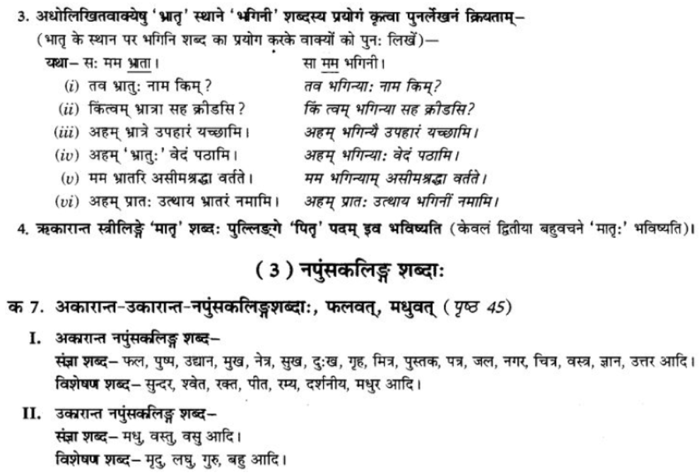 ncert-solutions-class-9-sanskrit-chapter-5-ajantshabda-halantshabda-sarvnamshabda