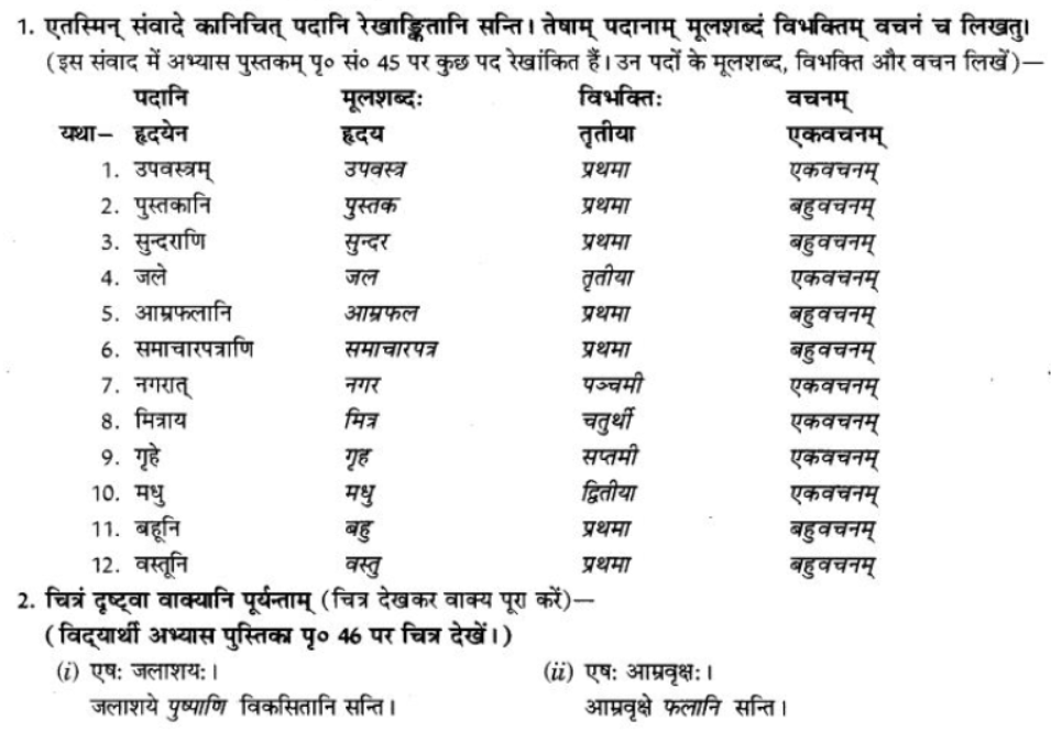 ncert-solutions-class-9-sanskrit-chapter-5-ajantshabda-halantshabda-sarvnamshabda