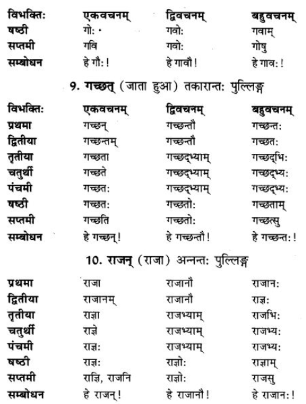 ncert-solutions-class-9-sanskrit-chapter-5-ajantshabda-halantshabda-sarvnamshabda