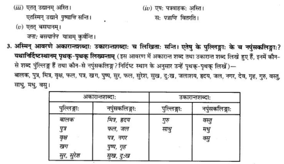 ncert-solutions-class-9-sanskrit-chapter-5-ajantshabda-halantshabda-sarvnamshabda