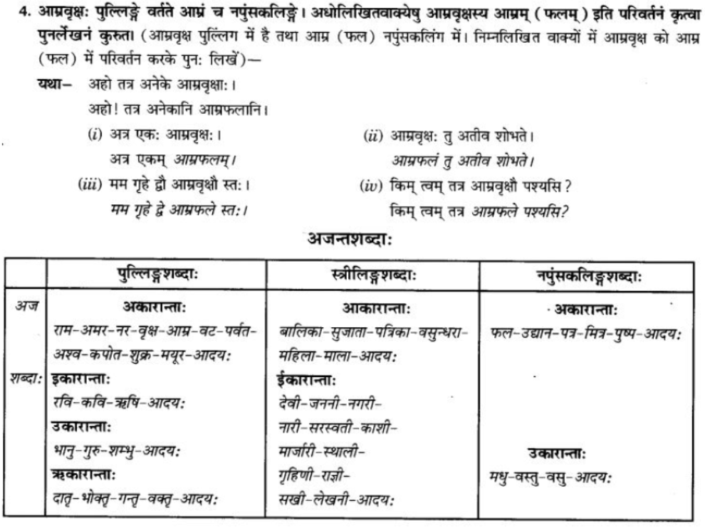 ncert-solutions-class-9-sanskrit-chapter-5-ajantshabda-halantshabda-sarvnamshabda