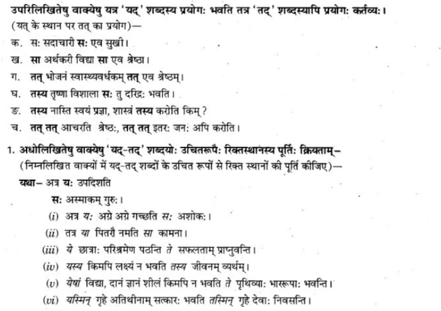 ncert-solutions-class-9-sanskrit-chapter-5-ajantshabda-halantshabda-sarvnamshabda