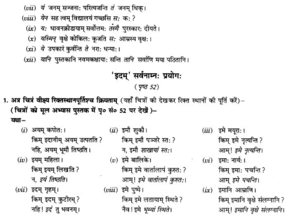 ncert-solutions-class-9-sanskrit-chapter-5-ajantshabda-halantshabda-sarvnamshabda