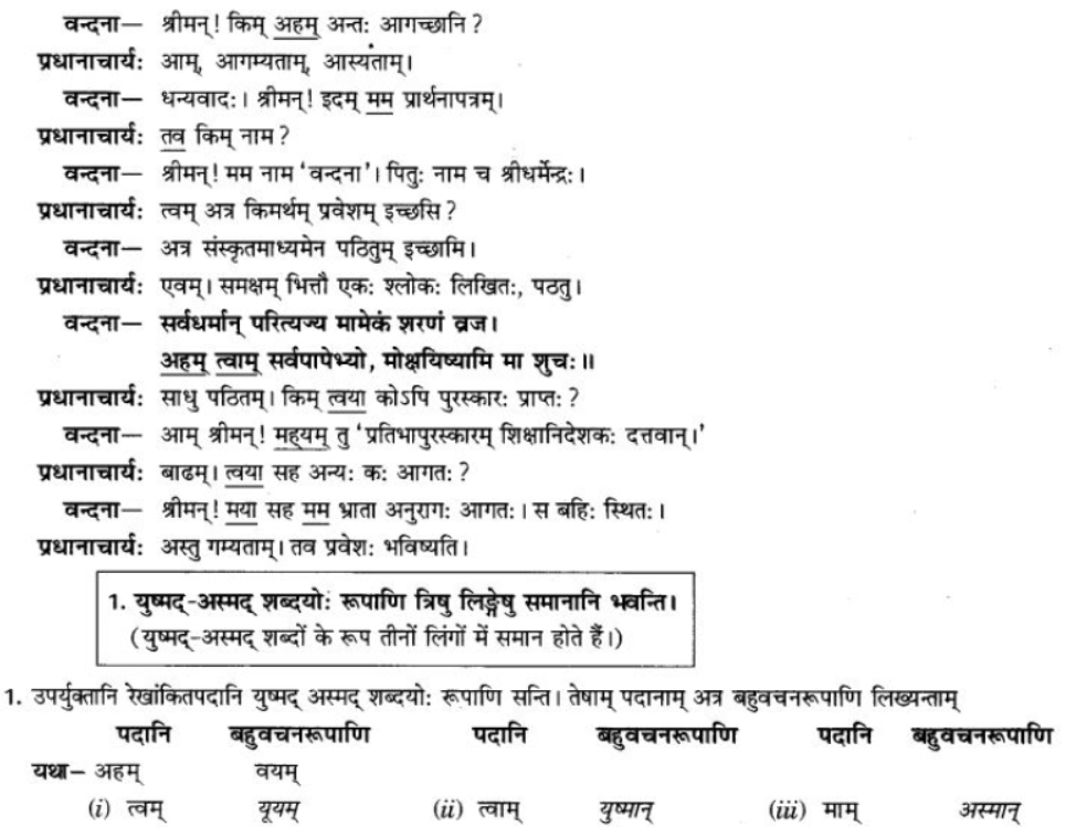 ncert-solutions-class-9-sanskrit-chapter-5-ajantshabda-halantshabda-sarvnamshabda