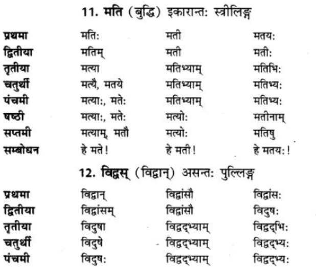 ncert-solutions-class-9-sanskrit-chapter-5-ajantshabda-halantshabda-sarvnamshabda