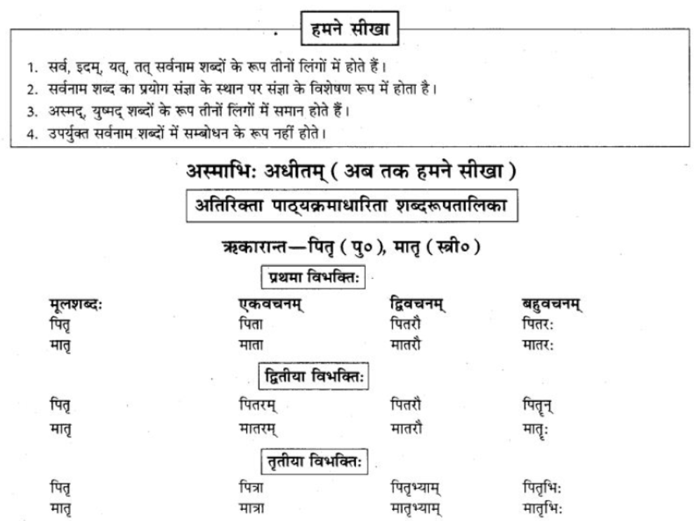 ncert-solutions-class-9-sanskrit-chapter-5-ajantshabda-halantshabda-sarvnamshabda