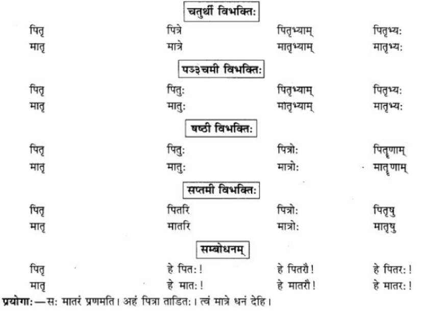 ncert-solutions-class-9-sanskrit-chapter-5-ajantshabda-halantshabda-sarvnamshabda