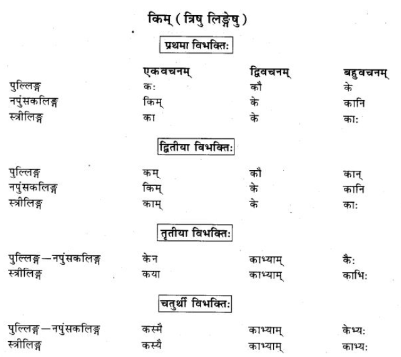 ncert-solutions-class-9-sanskrit-chapter-5-ajantshabda-halantshabda-sarvnamshabda