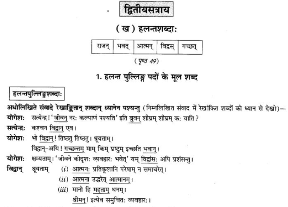 ncert-solutions-class-9-sanskrit-chapter-5-ajantshabda-halantshabda-sarvnamshabda