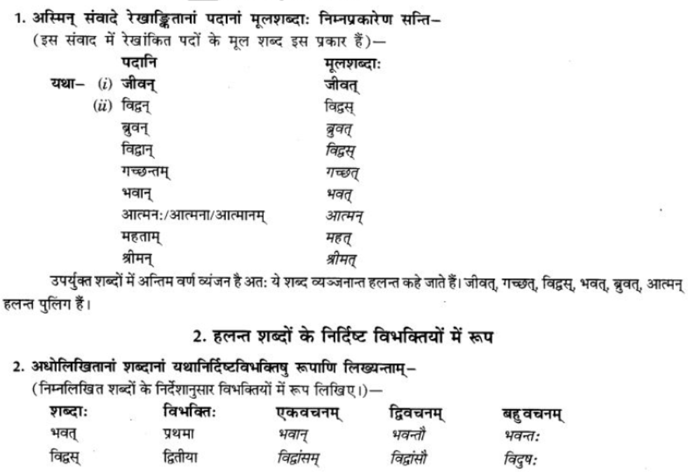 ncert-solutions-class-9-sanskrit-chapter-5-ajantshabda-halantshabda-sarvnamshabda