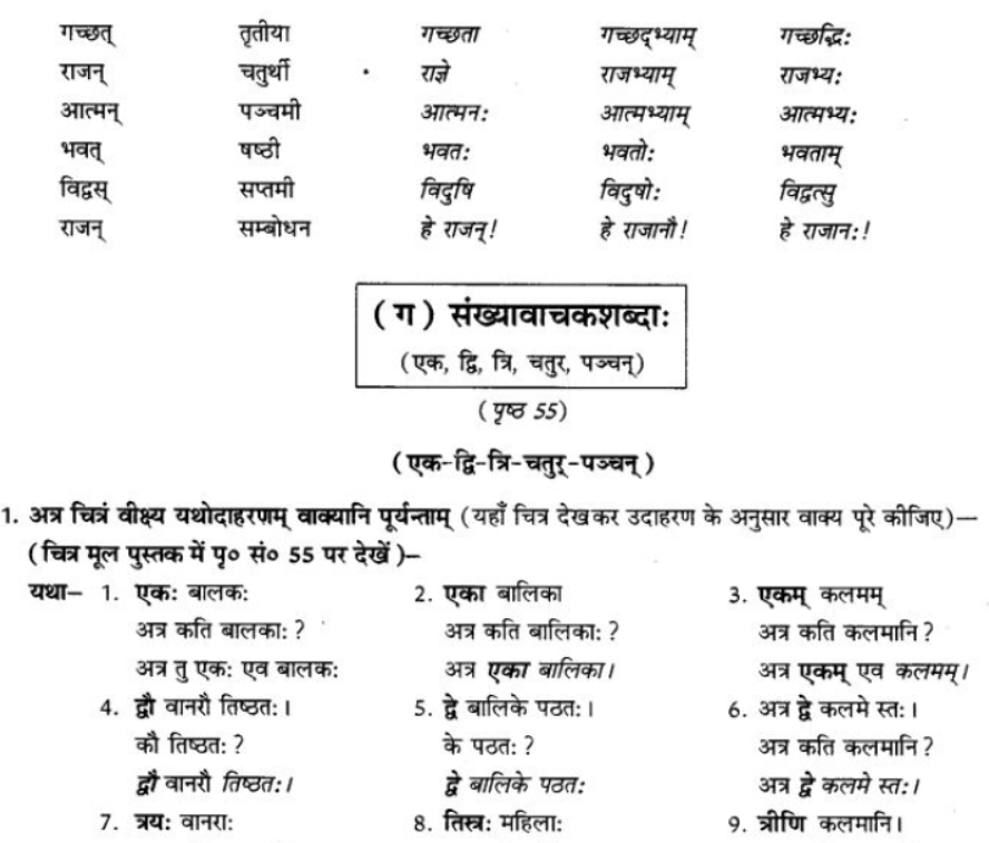 ncert-solutions-class-9-sanskrit-chapter-5-ajantshabda-halantshabda-sarvnamshabda