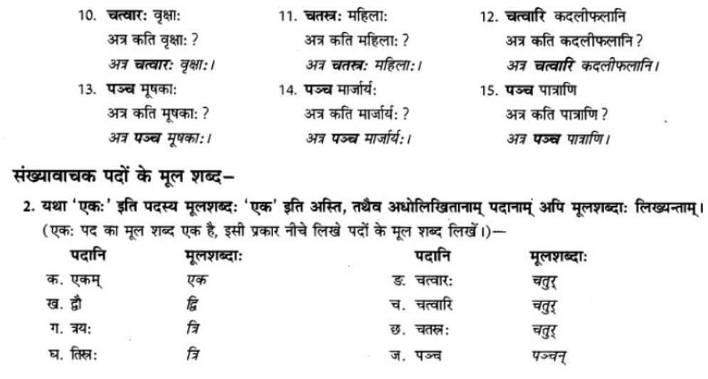 ncert-solutions-class-9-sanskrit-chapter-5-ajantshabda-halantshabda-sarvnamshabda