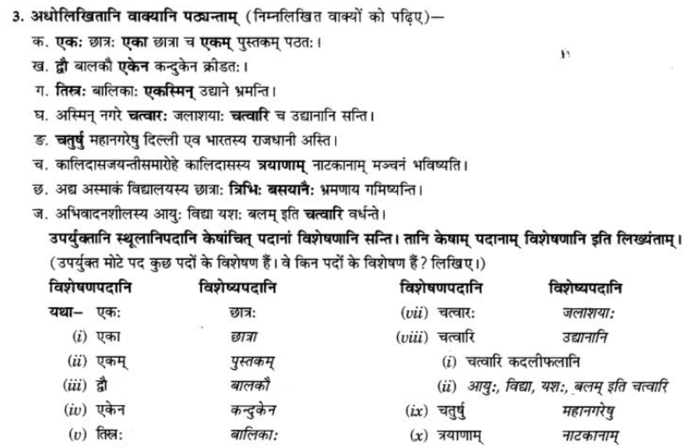 ncert-solutions-class-9-sanskrit-chapter-5-ajantshabda-halantshabda-sarvnamshabda