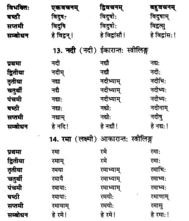 ncert-solutions-class-9-sanskrit-chapter-5-ajantshabda-halantshabda-sarvnamshabda