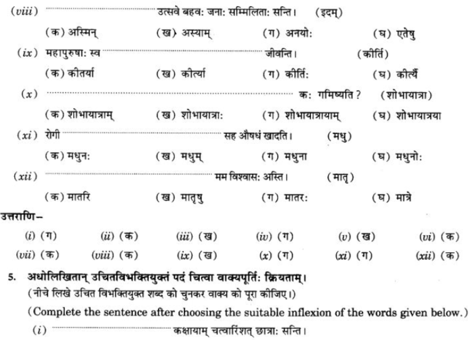 ncert-solutions-class-9-sanskrit-chapter-5-ajantshabda-halantshabda-sarvnamshabda