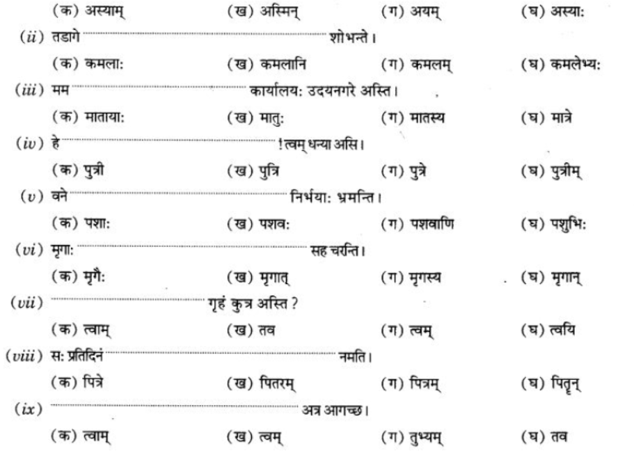 ncert-solutions-class-9-sanskrit-chapter-5-ajantshabda-halantshabda-sarvnamshabda