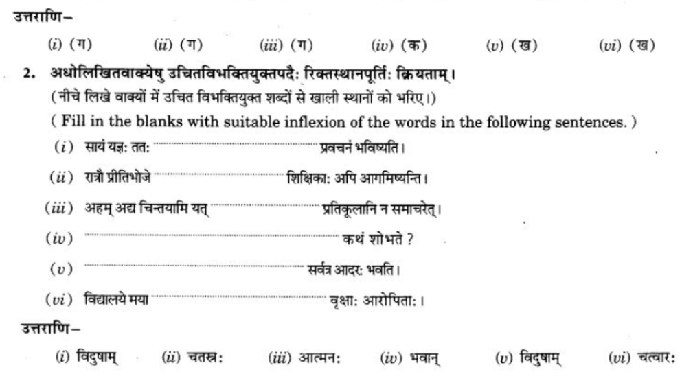 ncert-solutions-class-9-sanskrit-chapter-5-ajantshabda-halantshabda-sarvnamshabda