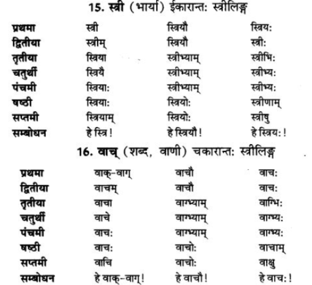 ncert-solutions-class-9-sanskrit-chapter-5-ajantshabda-halantshabda-sarvnamshabda