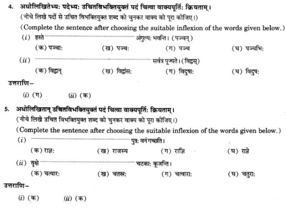 ncert-solutions-class-9-sanskrit-chapter-5-ajantshabda-halantshabda-sarvnamshabda