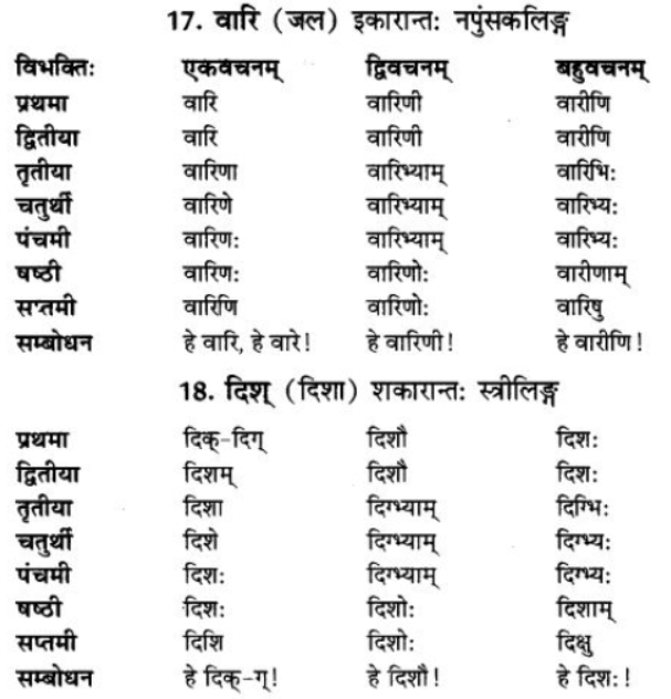 ncert-solutions-class-9-sanskrit-chapter-5-ajantshabda-halantshabda-sarvnamshabda