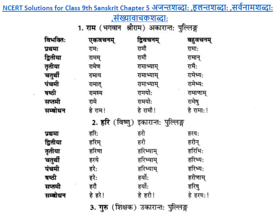 ncert-solutions-class-9-sanskrit-chapter-5-ajantshabda-halantshabda-sarvnamshabda