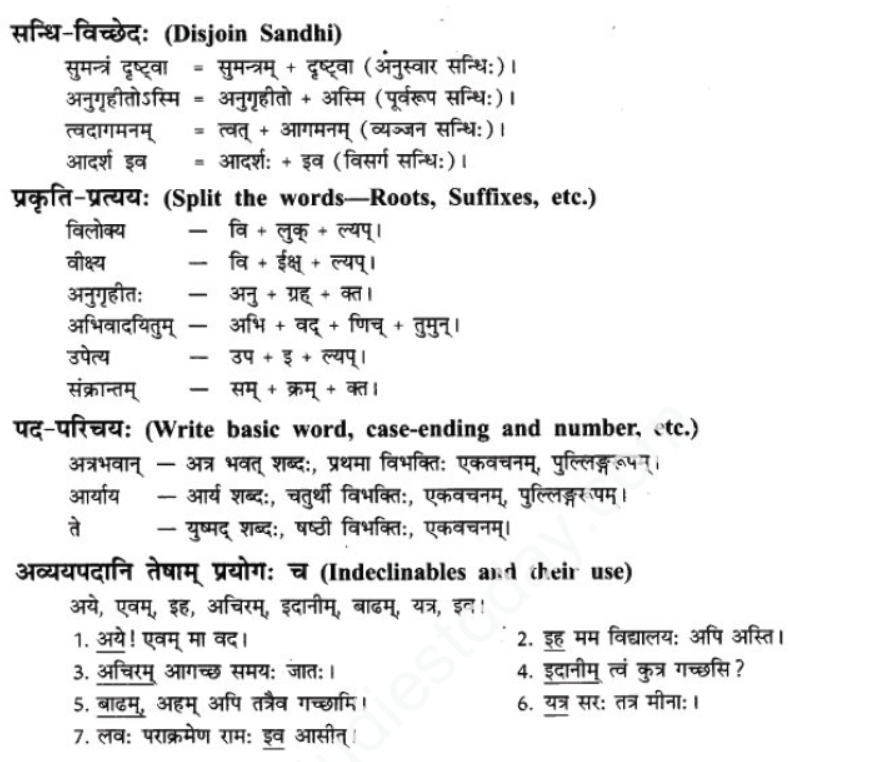 ncert-solutions-class-9-sanskrit-chapter-5-bhratsrestu-durlabh